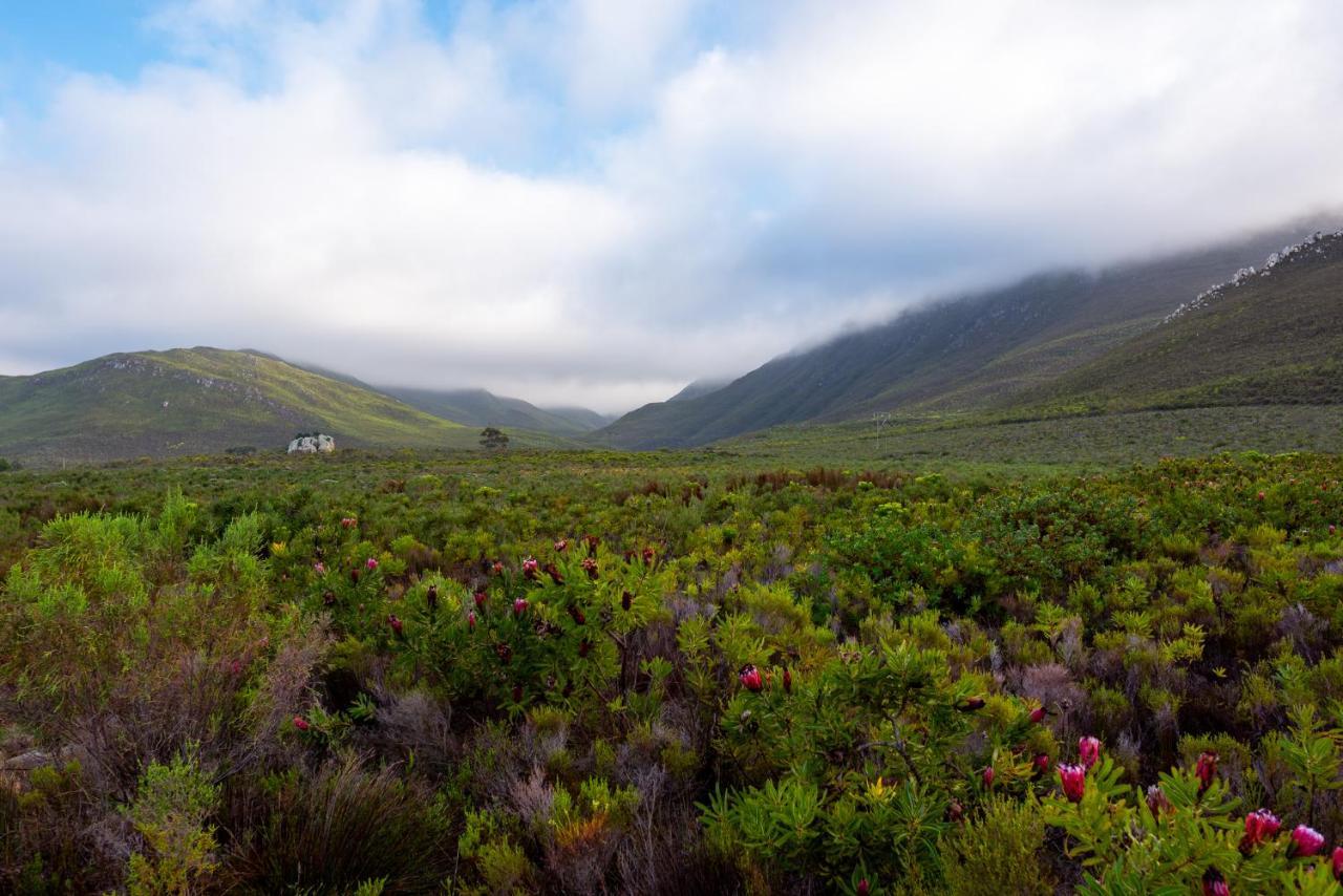 Honeyrock Cottages Kleinmond Luaran gambar