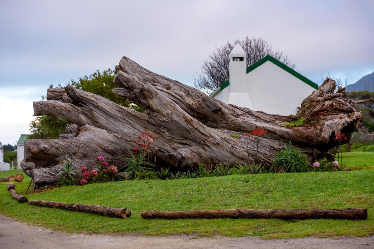 Honeyrock Cottages Kleinmond Luaran gambar